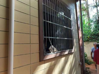 【隽剑攻坚】两窃贼入室行窃，酣睡中被警方“一锅端”
