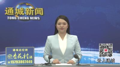 视频-通城县召开2025年三季度县级层面整治形式主义为基层减负专项工作机制扩大会议