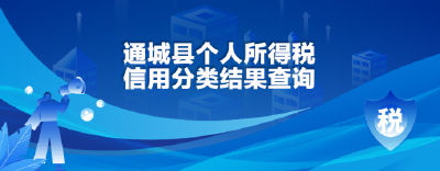 个人所得税信用分类结果查询