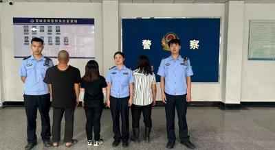 通城县公安局沙堆派出所：暗夜偷茶终被抓 民警巡查布控斩断盗采黑手
