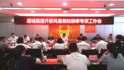 通城县召开提升移风易俗知晓率专项工作会