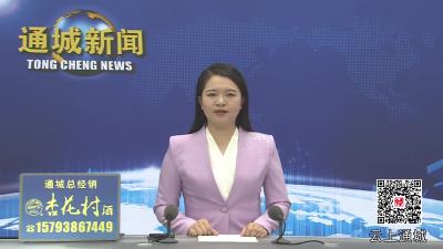 视频-【大思政课】通城县税务局：学党章党规党纪 筑税务廉政防线 