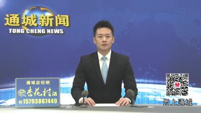 视频-通城县“隽青扬帆”捐资助学行动正式启动