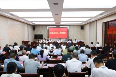 全县经济工作会议召开：全力推动通城经济运行持续向好 加快打造绿色高端区域性制造业强县 