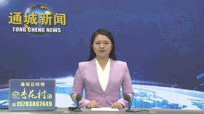 视频-【代表行动】麦市镇人大：助力旅游资源管理开发和非物质文化遗产保护传承 