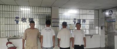 【隽剑攻坚】“警”追不停！7名逃犯相继在通城落网