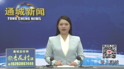 视频-黄建平调研督导重点项目建设时强调：强化要素保障 奋力攻坚克难 推动项目建设提速增效