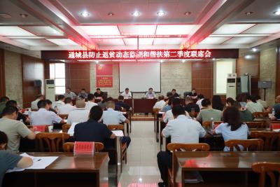通城县召开防止返贫动态监测和帮扶工作2025年第二季度联席会