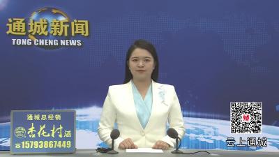 视频-通城县召开优化法治化营商环境民营企业家座谈会