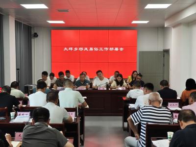 通城大坪乡：深耕移风易俗沃土 绘就乡村文明新图景