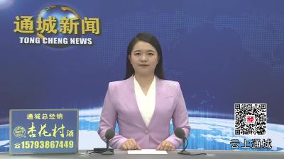 视频-杨修伟调研交通重点项目建设工作