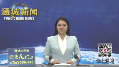视频-通城县召开“十五五”规划编制和项目谋划培训会议