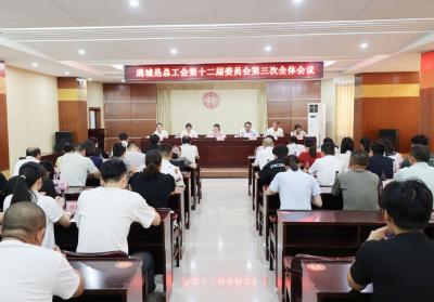 通城县总工会第十二届委员会第三次全体会议召开