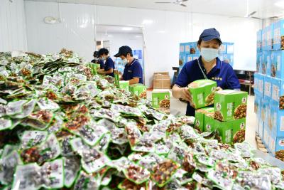 通城世芳实业:特色加工铺就致富路
