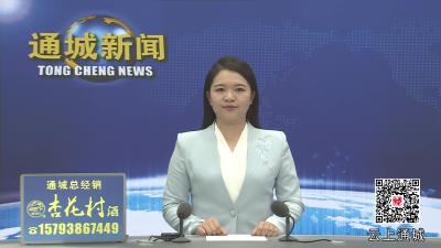 视频-口感甘甜！四庄乡清水村的猕猴桃熟了，采摘正当时！ 