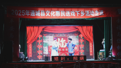 以戏传情 寓教于乐｜通城县“送戏下乡”惠民活动走进五里镇金塘村