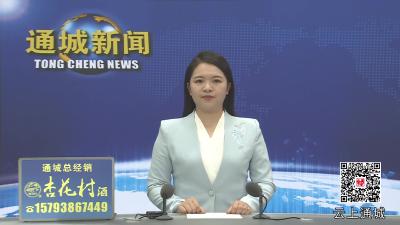 视频-通城县召开2025年食品药品安全工作会议暨国家级城市标准化综合试点（自然生态公园）工作推进会 
