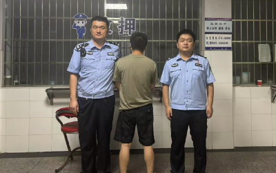 通城警方神速破案！24小时内擒获电诈关联案嫌疑人