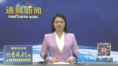 视频-【聚焦黄龙山帐篷嘉年华】备足1368个床位！通城黄龙山天岳度假村升级+片区联动 保障帐篷嘉年华活动食宿