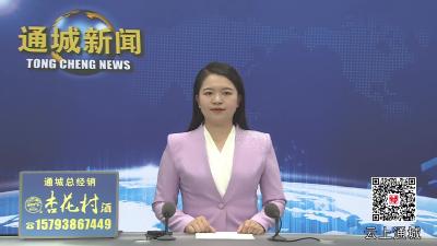 视频-2025年第13次通城县政府常务会议召开 