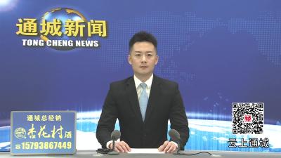 视频-【乡镇巡礼·四庄片①】通城县四庄乡邓球：新婚夜退彩 婚后勇担七孩与病老照料重任