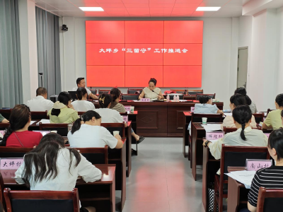 通城县大坪乡召开“五访五看”进一步提升巩固拓展脱贫攻坚成果质效工作业务培训会