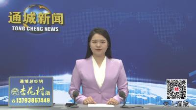 视频-通城县召开工程建设项目联审联办试点工作推进会 