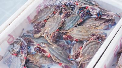 “开渔季”到了！这份健康尝“鲜”指南快收藏