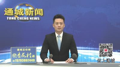 视频-通城县召开8月份投资运行研判和项目建设工作督办会