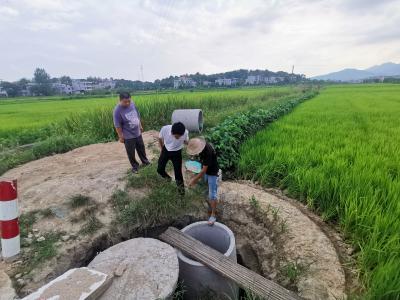 通城县五里镇：干群同心战旱情 保水护秋稳民生