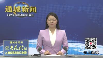 视频-黄建平调研企业投产和重点项目建设时强调：强化服务保障 提升发展质效