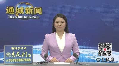 视频-【人大代表在行动⑩】代表履职接地气 民生实事“结硕果”