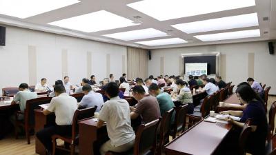 黄建平在审议通城县低空经济高质量发展总体规划（征求意见稿）时强调：积极抢占低空经济新赛道  全力培育产业发展新动能