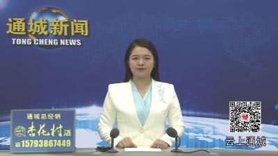 视频-杨修伟到马港镇、五里镇调研督办重点工作
