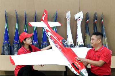 小山村飞出“科技金凤凰”：丁伟兵的低空经济报乡路