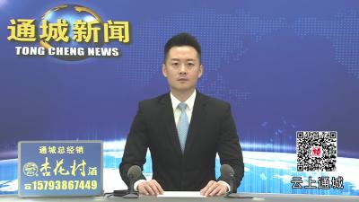 视频-通城：创新实干 挺起工业发展“硬脊梁”