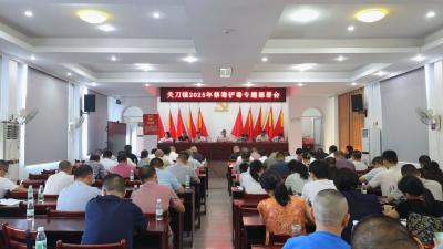 通城县关刀镇召开禁毒与反电诈工作专题部署会