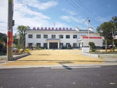 通城县石南镇仙姑村：广场变身“黄金毯” 党群同心晒丰收