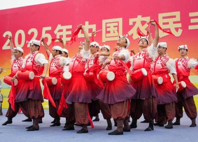 这边，“丰”景正好——各地中国农民丰收节活动现场见闻