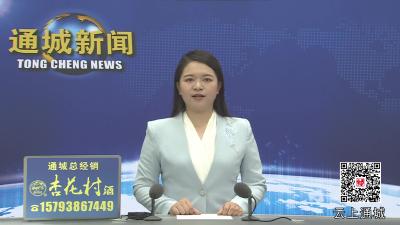 视频-血色丰碑 青春礼赞｜通城县举办“立马九岭”抗战胜利80周年纪念教育活动 