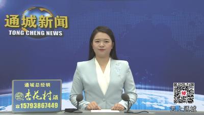 视频-2025年通城县首届全民健身篮球赛县直组火热开赛 