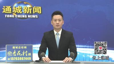视频-县委召开专题会议 听取通城经济开发区机制体制改革和项目工作情况