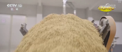 “沃野粮仓”科技大显身手 金秋多彩“丰”景有“智”又有“质”