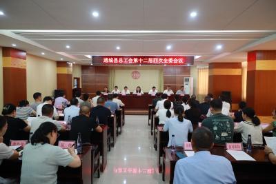 通城县总工会第十二届委员会第四次全体会议暨全县新兴领域基层工会组织建设百日攻坚行动推进会召开