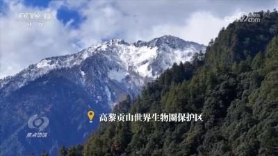 焦点访谈｜守护生态宝库 塑造人与自然可持续未来