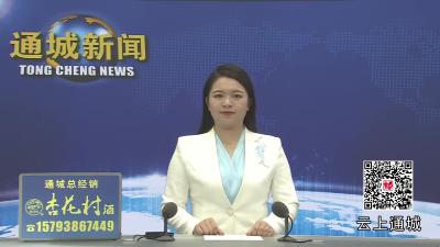 视频-铭记历史 开创未来——纪念中国人民抗日战争暨世界反法西斯战争胜利80周年大会在通城干部群众中引发强烈反响