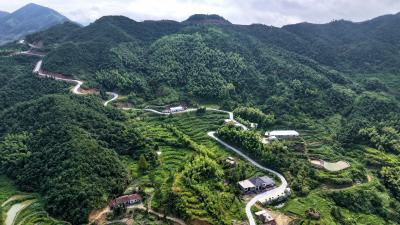通城吴孝建：5G云养“两头乌” 深山蹚出共富路