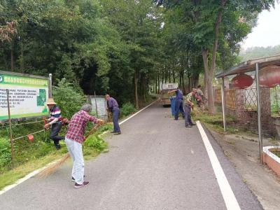 通城县沙堆镇石冲村：“石冲家园焕新计划” 让乡村环境与内涵双提升