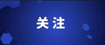 通城县大坪乡：筑牢防汛抗旱双防线 守护群众生产生活安全