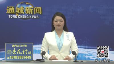 视频-黄建平到大坪乡调研督办重点工作时强调：强化责任担当 狠抓工作落实 奋力开创乡村全面振兴新局面 